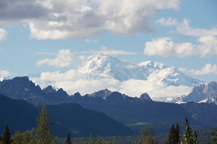 Denali From Memorial